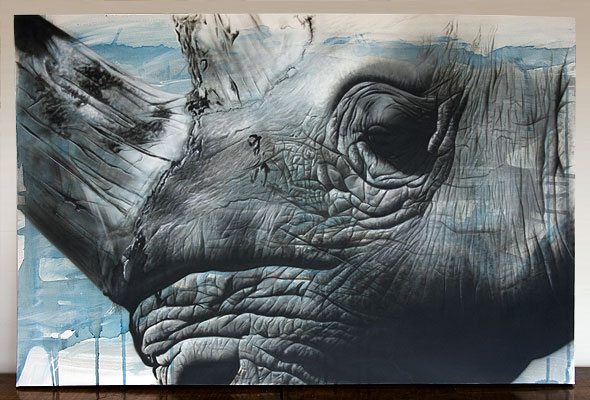 rhino_60x90_web